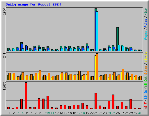 Daily usage for August 2024