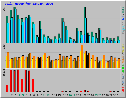 Daily usage for January 2025