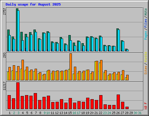 Daily usage for August 2025