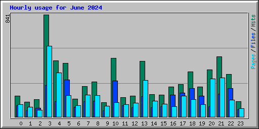 Hourly usage for June 2024