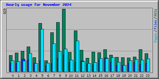 Hourly usage for November 2024