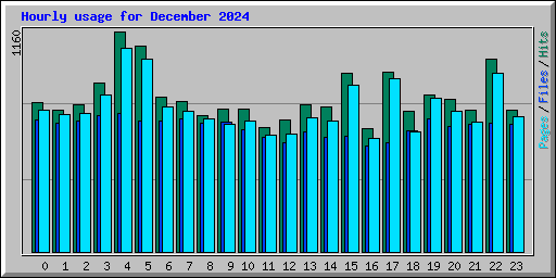 Hourly usage for December 2024