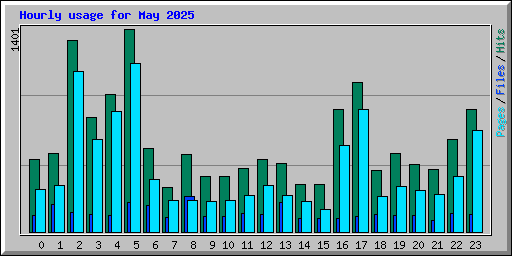 Hourly usage for May 2025