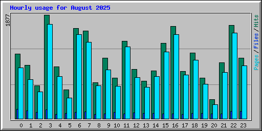 Hourly usage for August 2025