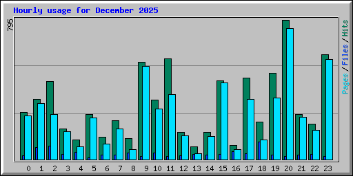 Hourly usage for December 2025