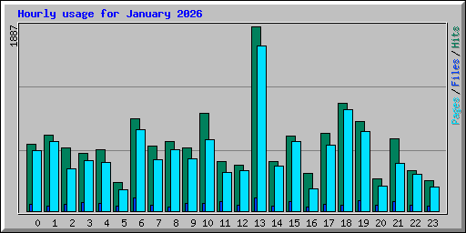 Hourly usage for January 2026