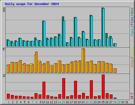 Daily usage for December 2024