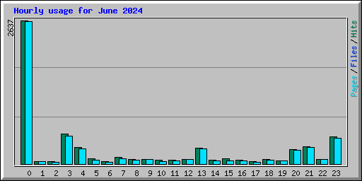 Hourly usage for June 2024