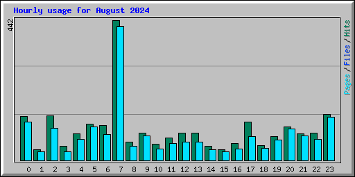 Hourly usage for August 2024