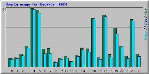 Hourly usage for December 2024