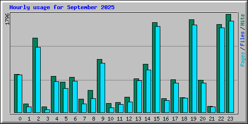 Hourly usage for September 2025