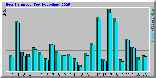 Hourly usage for November 2025