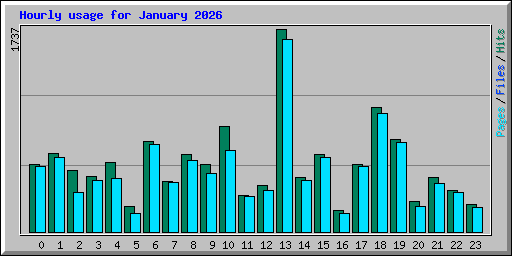 Hourly usage for January 2026