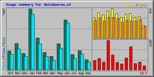 Usage summary for dutchporno.nl