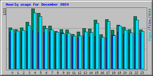 Hourly usage for December 2024