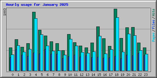 Hourly usage for January 2025