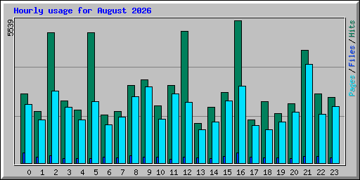 Hourly usage for August 2026